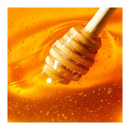 Reve De Miel Stick Labios Hidratante