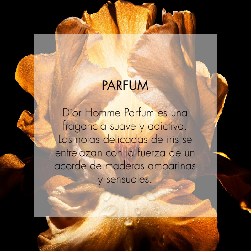 Dior Homme Parfum Perfume para Hombre