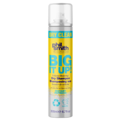 Big It Up Dry Clean Dry Shampoo