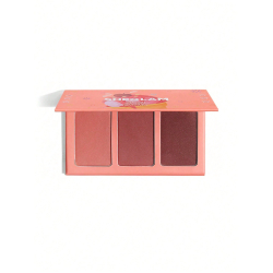 Sweet Cheeks Trio Paleta Coloretes