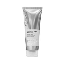 Molecular Repair Champú