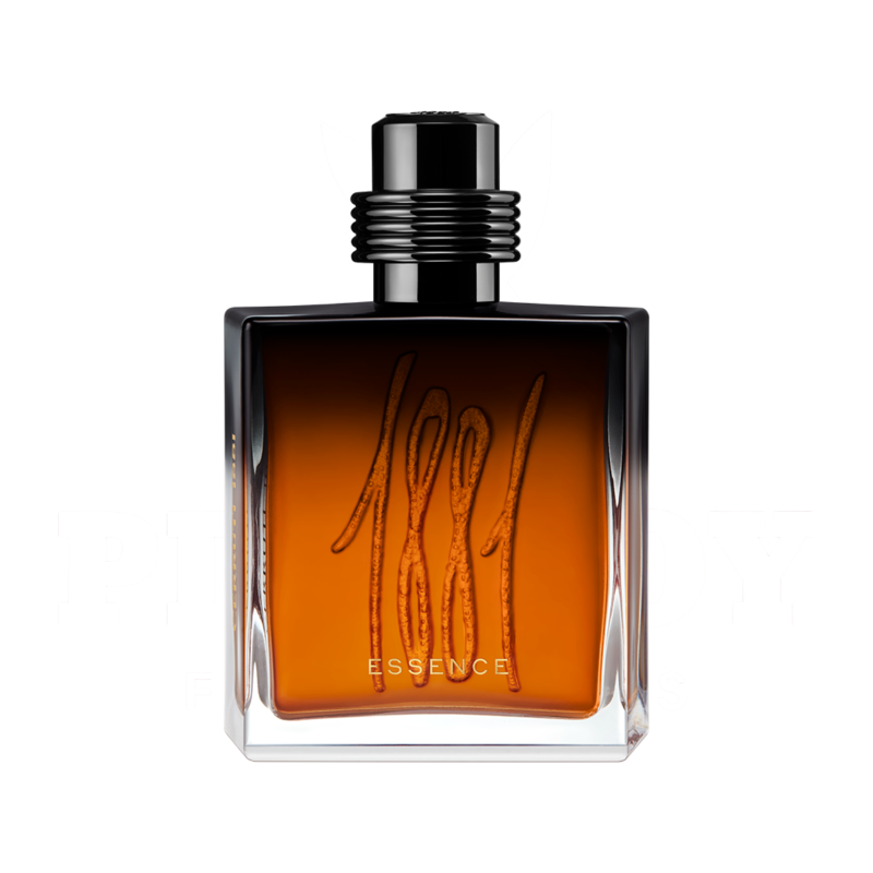 nino cerruti 1881 essence
