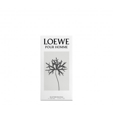 LOEWE POUR HOMME EDT