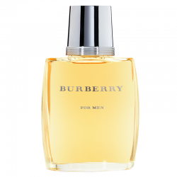 TOUS MAN EDT Vapo.100ml