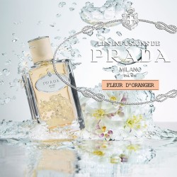 Pinceau Phyto-Touches
