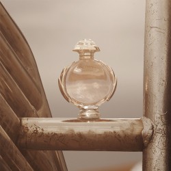 Forever Water In Oil 30ml