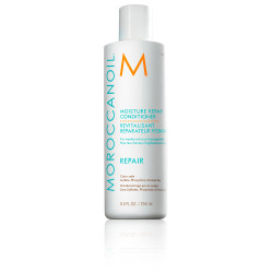 ACONDICIONADOR HIDRATANTE REPARADOR 250ML