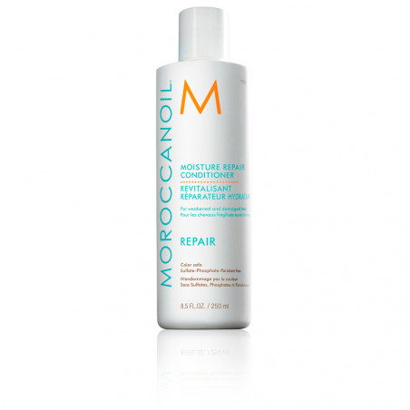 ACONDICIONADOR HIDRATANTE REPARADOR 250ML