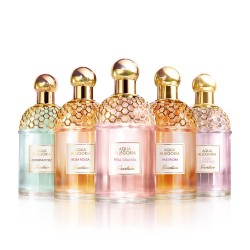 PREMIUM L-K X-Treme Ren 50ml