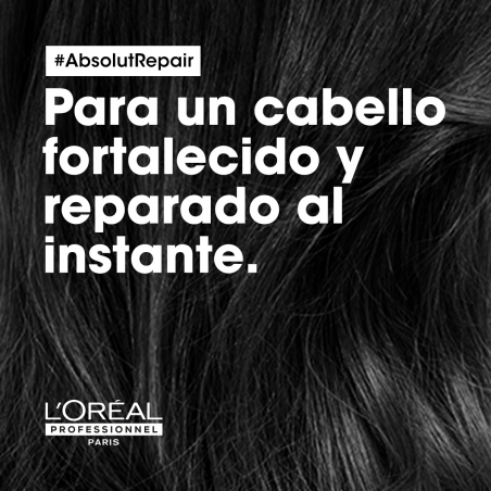 ABSOLUT REPAIR GOLD MASCARILLA 250ML