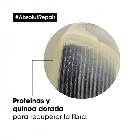 ABSOLUT REPAIR GOLD MASCARILLA 250ML