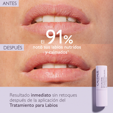 STICK DE LABIOS 4,5G