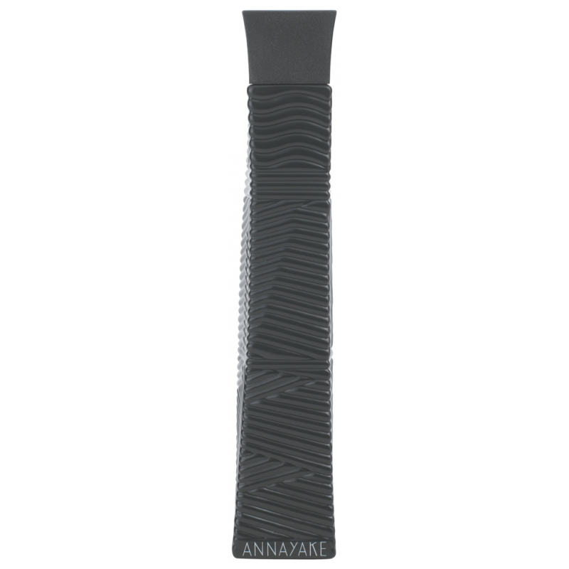 Pour Lui Edt Vaporizador 100ml
