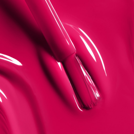 LE VERNIS