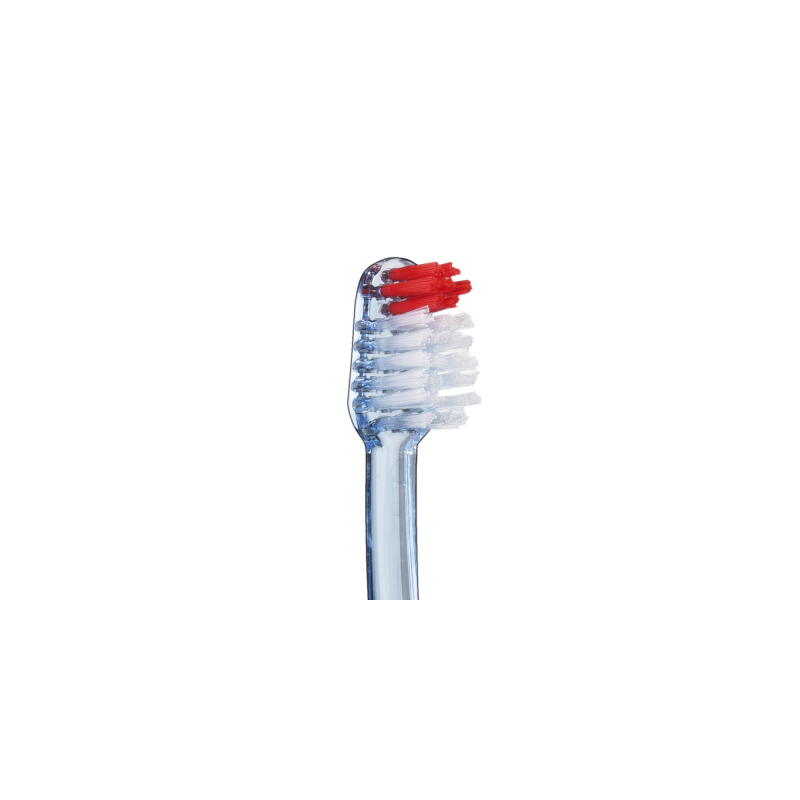 Vitis Duro Access Cepillo Caja V2-01