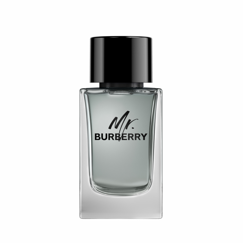 burberry mr. burberry