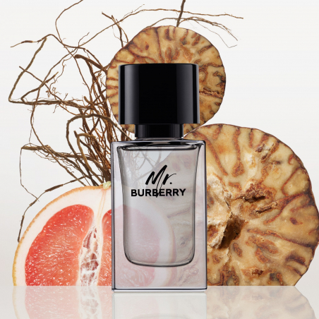 MR BURBERRY EDT