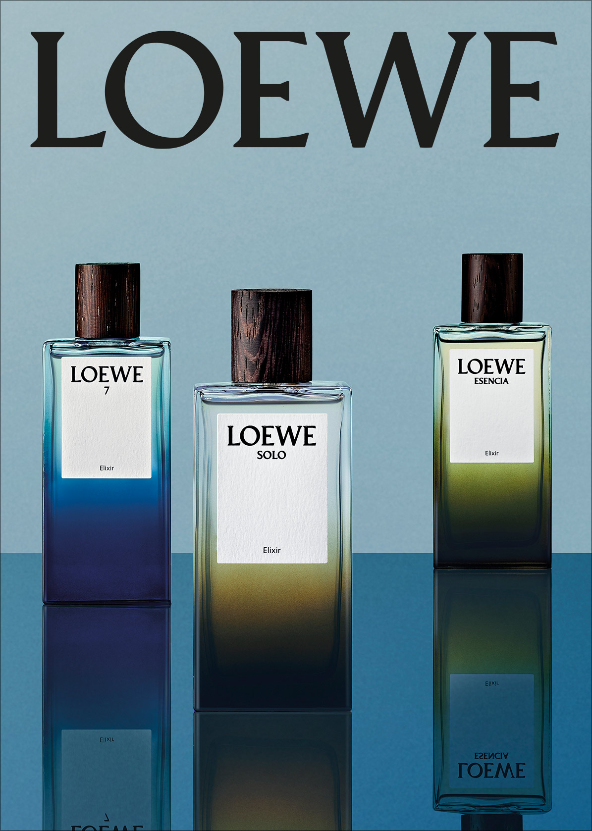 LOEWE W1