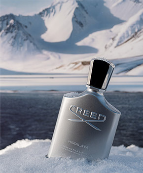 fragancias unisex Creed