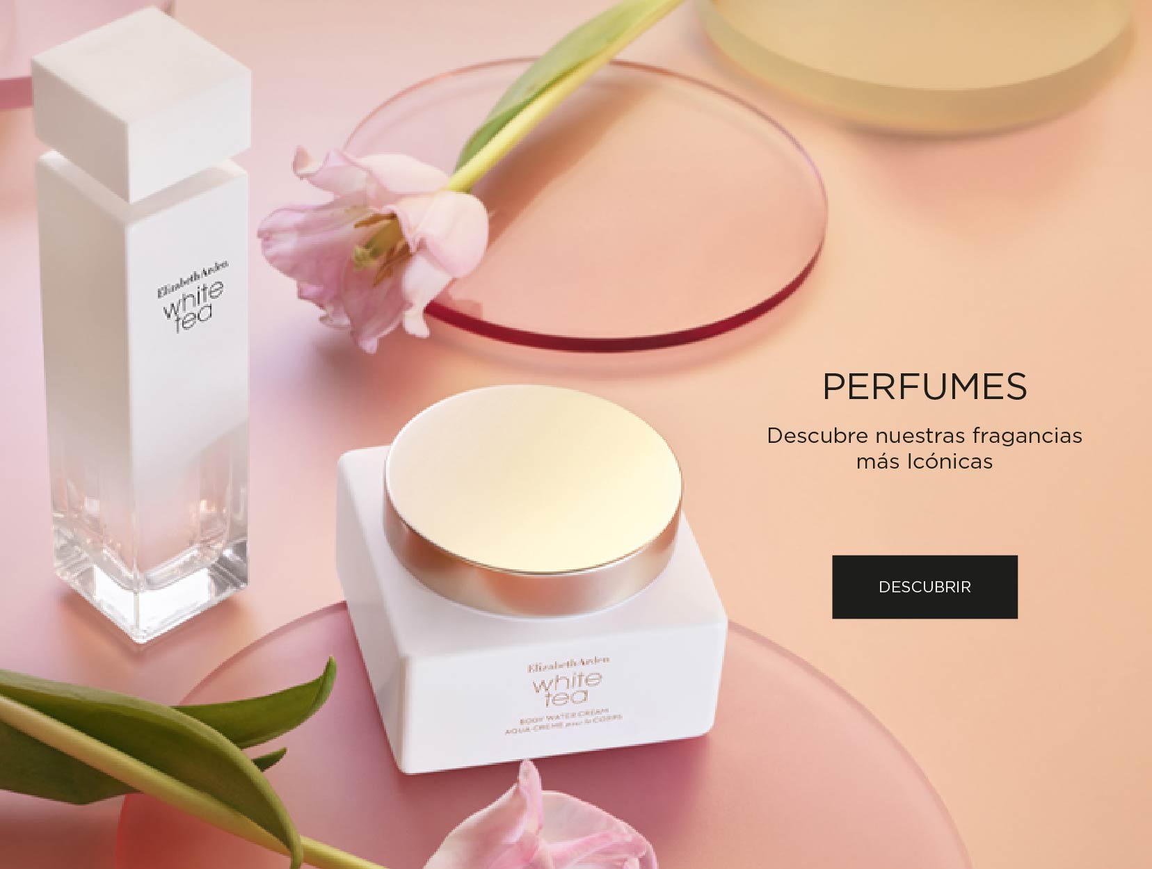 Perfumes Elizabeth Arden Perfumes Elizabeth Arden