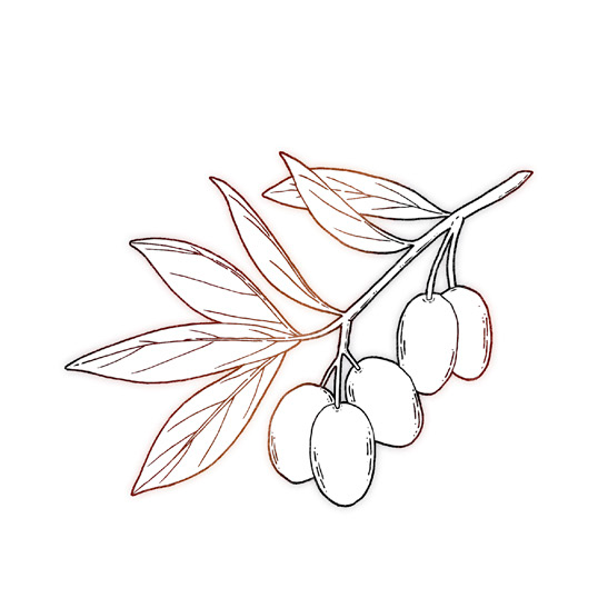 Heath ingrediente Aceite de Jojoba Heath ingrediente Aceite de Jojoba