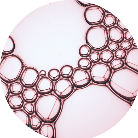 ingrediente L-ornithine Aminoacid Age Filler Júlia Bonet ingrediente L-ornithine Aminoacid Age Filler Júlia Bonet