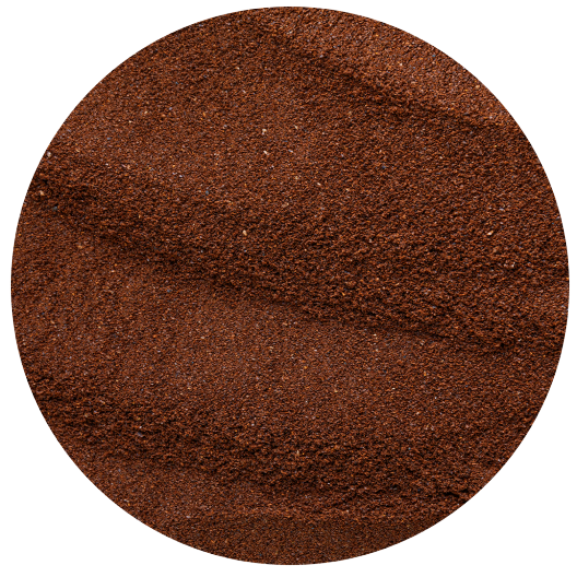 cafeina Body Solution Júlia Bonet