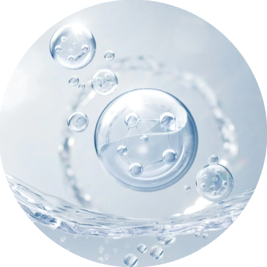 ingrediente Acetyl GTX Extreme Júlia Bonet