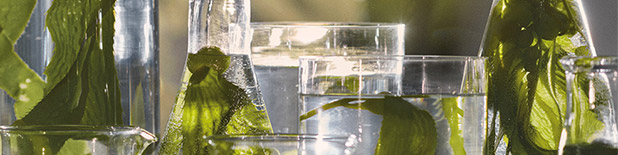 cuidado de la piel y maquillaje la mer