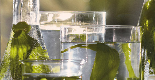 cuidado de la piel y maquillaje la mer