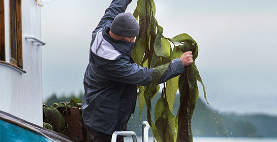 comprar productos la mer
