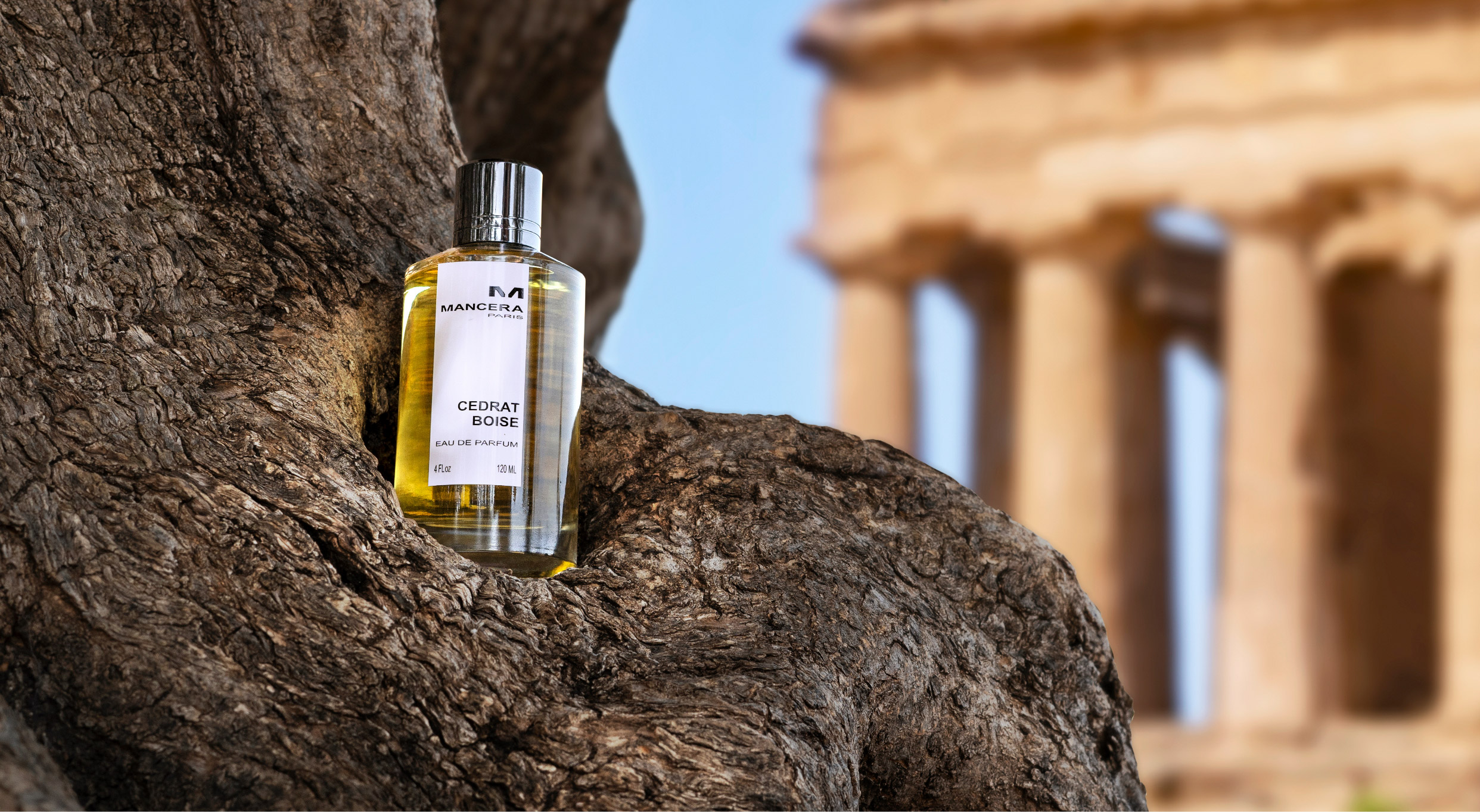 Mancera intense cedrat boise