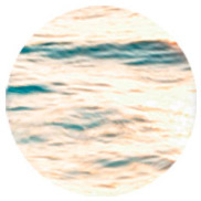 perfumes con acordes marinos Montale