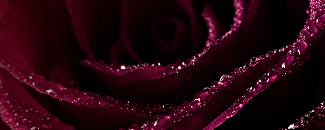 Baume en Eau a la rose Noire Sisley