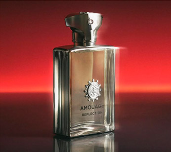 perfumes día del padre notas amaderadas perfumes día del padre notas amaderadas