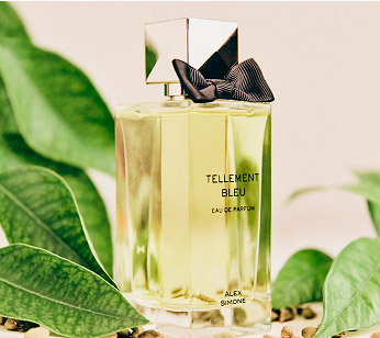 perfumes día del padre notas aromáticas