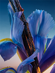 L'Heure Bleue eau de parfum Guerlain
