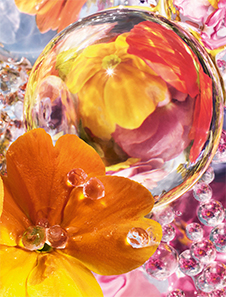 Guerlain Aqua Allegoria perle florabloom eau de parfum edición limitada