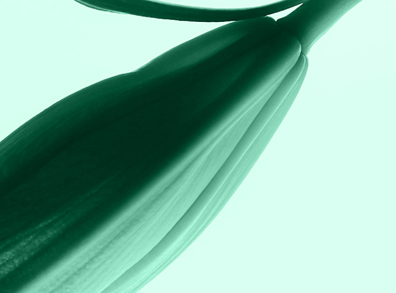 Click and Collect Júlia